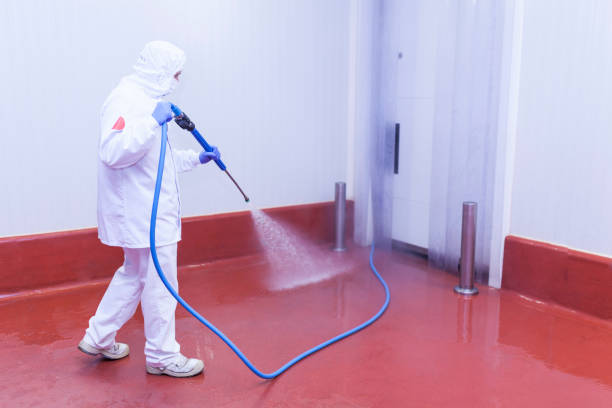 Best Driveway Pressure Washing  in Millvale, PA